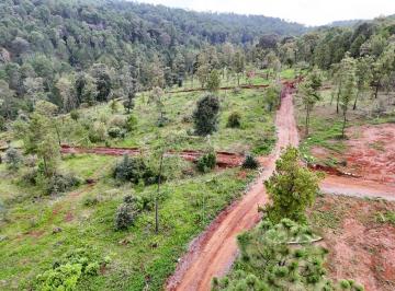 Terreno / Lote , Atemajac de Brizuela · Terrenos Campestres Loma Bonita Ferrería de Tula