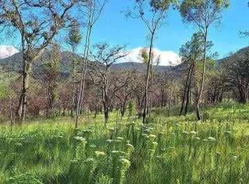 1 · Terreno en Venta Para Cabaña en Huimilpan, Qro, con Escrituras y Financiamiento.