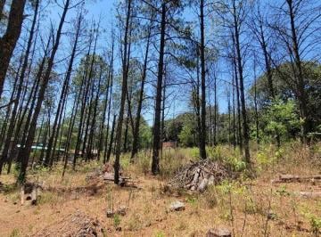 1 · Venta de Terreno Campestre Mas de 1000 m², Para Cabaña en Amealco, Querétaro.