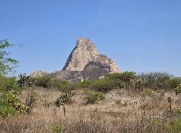 1 · Oportunidad! Venta de Terreno en Fracc Peña de Bernal, Mas de 500 m²