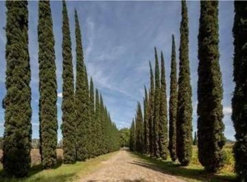 1 · Venta de Terrenos en Cañadas del Valle