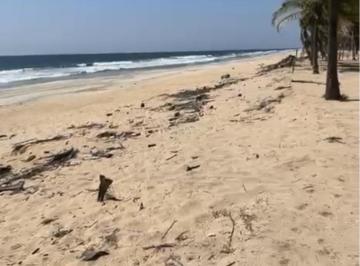 Terreno / Lote , Copala · Terreno en Venta en Playa Ventura, Acapulco, Guerrero
