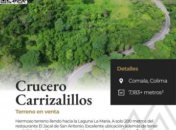 Terreno / Lote , Comala · Terren Cerca Crucero Carrizalillos Colima.