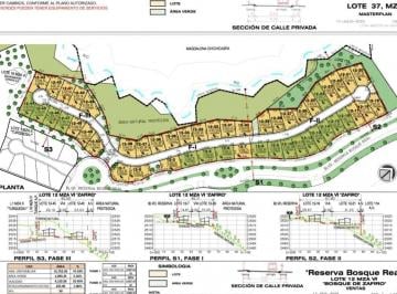 Terreno / Lote · 300m² · Terrenos en Isla del Romance Bosque Real