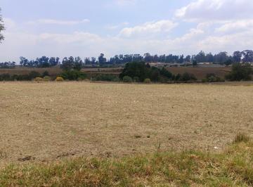 Terreno / Lote · 7293m² · Terreno Ejidal