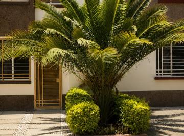 Casa de 3 habitaciones, Salamanca · Casa en Venta en Residencial Arboledas – Salamanca, Guanajuato