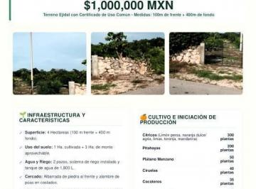 Terreno / Lote · 4ha · Terreno de 4 Hectáreas Sobre Carretera Sinanché - San Crisanto