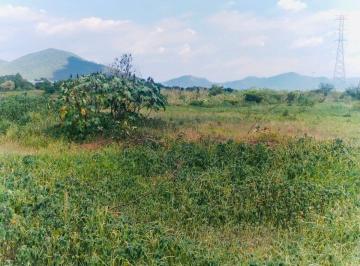 Terreno / Lote , Ayala · ¡En Venta Atractivo Terreno de 52,742 m² en El Mejor Parque Industrial de Cuautla, Morelos!