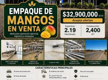 N/A · Planta Empacadora de Mango en Venta en Escuinapa, Sinaloa | 2.19 Ha | 2,400 m² de Construcción