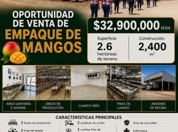 N/A · Planta Empacadora de Mango en Venta en Escuinapa, Sinaloa | 2.19 Ha | 2,400 m² de Construcción