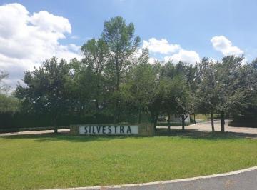 249a3683842fac0e797c8f0ac7d94a5f10c8ef1ab4cd61451dca3ce00194e30e · Terreno en Venta Silvestra, Montemorelos