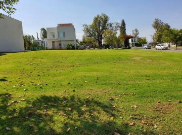Terreno / Lote · 404m² · Terreno en Venta en Lago del Bosque, Zamora