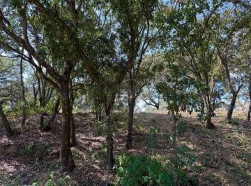 Terreno / Lote · 1500m² · Terreno en Venta en Villa del Carbon Lote 6, Mz 16, Fraccionamiento Campestre