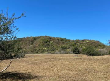 Terreno / Lote , Comala · 25 Ha en Venta en La Zacatera, Cofradia de Suchitlan, Comala, Colima, Mexico