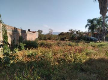 Terreno / Lote , Chapala · Terreno en Venta Chapala, San Antonio Tlayacapan