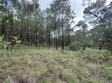 Terreno / Lote , Chiquilistlán · Terreno en Venta – Sierra Mazatí / Agua Zarca