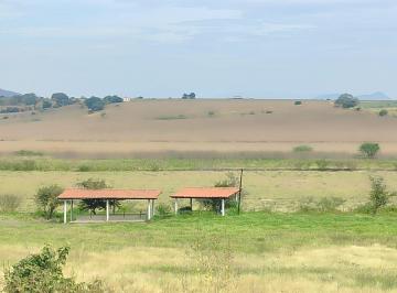 Terreno comercial · 300000m² · Terreno en Venta en Ayutla - (4)