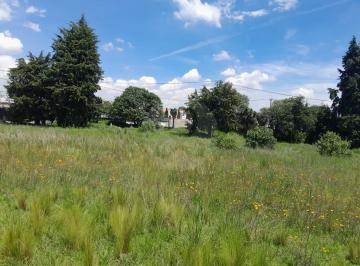 1000118201.jpg · Terreno Comercial en Venta en San Bartolomé Tlaltelulco