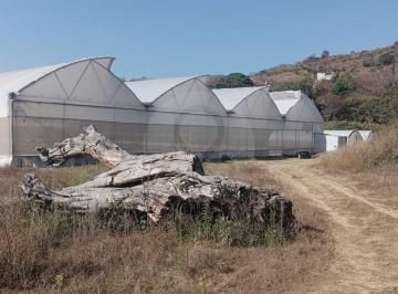1000022832.jpg · Paraje El Potrero de Amelcingo: Terreno Comercial en Venta en San Juan