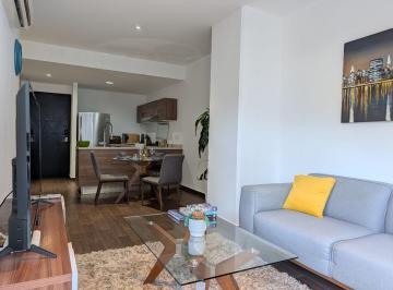 Departamento de 2 habitaciones, Monterrey · Departamento en Renta, Nuevo Sur, Col. Ladrillera, Monterrey