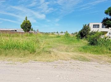 Terreno / Lote · 1000m² · Terreno en Venta Hacienda Real del Conde Silao Guanajuato
