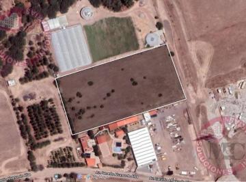 Terreno / Lote · 10000m² · Renta Terreno de Una Hectárea Cerca de Nissan, Al Sur de Aguascalientes