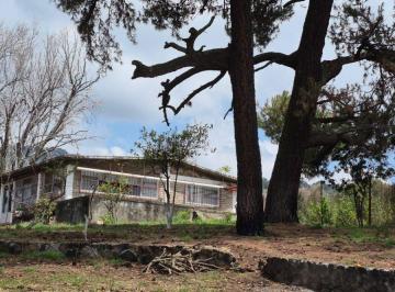 Terreno / Lote , Tepetlixpa · Se Vende Huerta de Aguacate Hass, Nepantla, Estado de México
