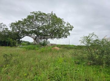 Terreno / Lote · 611m² · Terreno en Renta en Av Prol. Hidalgo, Real Santa Fé, Villa de Álvarez