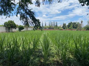 Terreno / Lote , Yautepec · Gran Oportunidad de Terreno en Yautepec