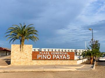Local comercial , La Paz · Local Comercial - 50