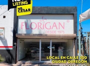 Local comercial · 115m² · 1 Estacionamiento · Local Comercial en Venta en Ciudad Obregón, Sonora