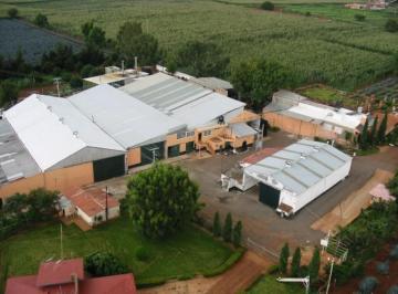 Huerta · 111000m² · Tequilera en Venta en Jalisco