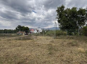 IMG_6455.HEIC · Terreno Residencial en Venta en Cuadrilla de Dolores