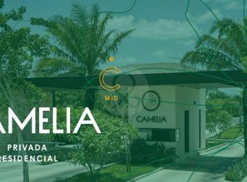 Sin título.jpg · Soleta: Terreno Comercial en Venta en Merida Centro