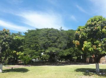 Terreno / Lote · 9850m² · Campo Pintora: Terreno Residencial en Venta en Xoxacotla