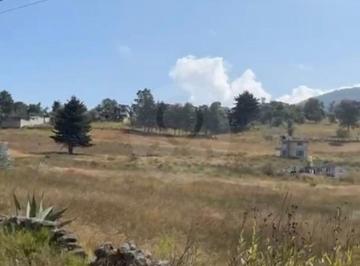EB-US8844 (1).jpg · Terreno Residencial en Venta en San Luis Boro