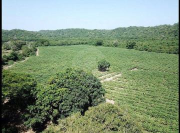 EB-VG6906 (7).jpg · Terreno Residencial en Venta en Santa Maria Huatulco Centro