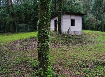 Terreno / Lote , Valle de Bravo · Terreno en Venta Rodeado de Bosque