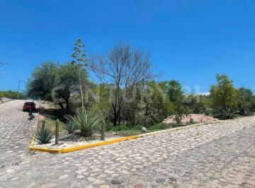 Terreno / Lote · 1300m² · Terreno en Venta en El Fraccionamiento Agua Linda en Tlalquitenango Morelos