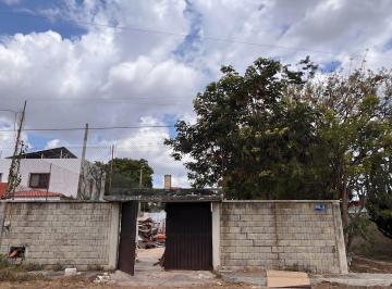 26ffff252924fff6a2fff0a444f25591f3e6443e209c3be23e863a4c51fd8f1a · Terreno Comercial con Bodega en Pedregales de Tanlum, Mérida