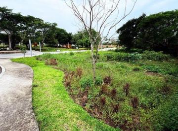 Terreno / Lote · 425m² · Terreno en Venta en Punta Tiburón