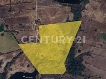 Terreno / Lote · 11m² · Se Vende 11.4 Hectáreas en Buenavista, Cuauhtémoc, Colima