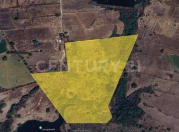 Terreno / Lote · 114000m² · Se Vende 11.4 Hectáreas en Buenavista, Cuauhtémoc, Colima
