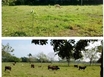 1 · Rancho en Venta Cerca del Puerto de Veracruz, 15 Ha