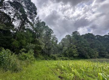 IMG_8343.JPG · Amento: Terreno Residencial en Venta en Cerro Gordo
