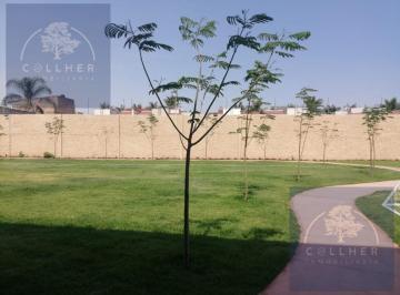 Terreno / Lote · 162m² · Terreno en La Tijera en Coto