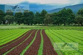 Terreno / Lote · 170ha · Terreno en Venta en Ixtapaluca, Estado de Mexico