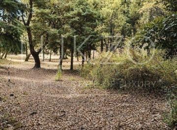 Terreno / Lote · 1000m² · Terreno en Venta en Los Ocotes, Tepoztlan