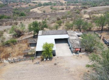 Terreno / Lote , Puente de Ixtla · Terreno en Venta en Tehuixtla, Morelos, 12 Ha, Ideal Para Desarrolladores, Pozo con Agua y Luz.
