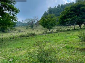 Terreno / Lote · 500000m² · Terreno - Pueblo Xico